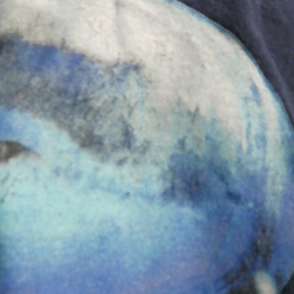 GAP KIDS navy graphic T-Shirt "Great Shark" print / design, XL size 12 years GUC - Picture 12 of 12